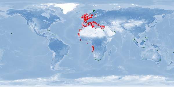 Distribution map: Sepia officinalis (Common cuttlefish)
