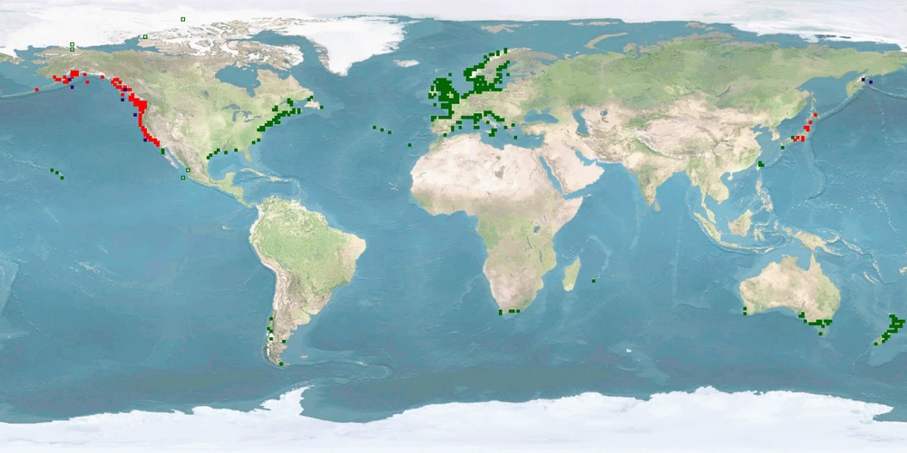 Distribution map: Oncorhynchus mykiss (Rainbow trout)