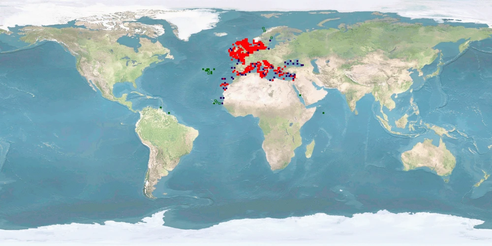 Distribution map: Mullus surmuletus (Striped red mullet)