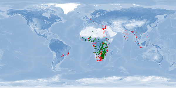Distribution map: Clarias gariepinus (African sharptooth catfish)