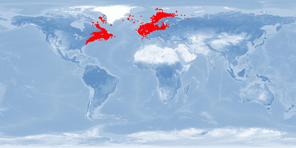 Distribution map: Gadus morhua (Atlantic cod)