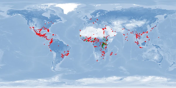 Distribution map: Oreochromis niloticus (Nile tilapia)