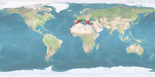 Distribution map: Diplodus puntazzo (Sharpsnout seabream)