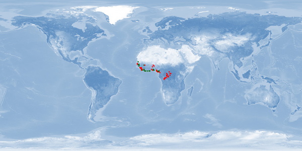 Distribution map: Papyrocranus afer (Reticulated knifefish)