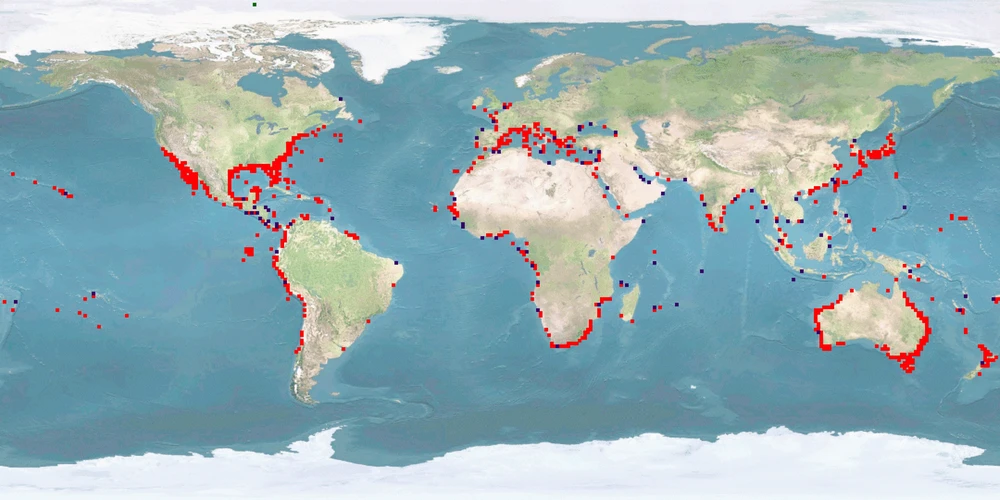 Distribution map: Mugil cephalus (Striped mullet)