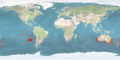 Distribution map: Thunnus maccoyii (Southern bluefin tuna)