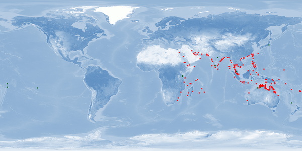 Distribution map: Lutjanus johnii (John's Snapper)