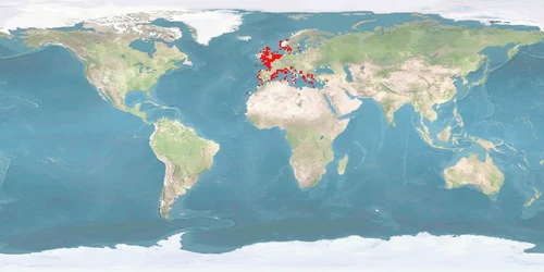 Distribution map: Dicentrarchus labrax (European seabass)