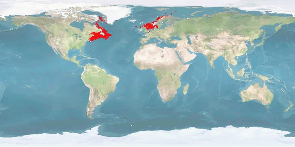 Distribution map: Hippoglossus hippoglossus (Atlantic halibut)