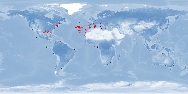 Distribution map: Scomber colias (Atlantic chub mackerel)