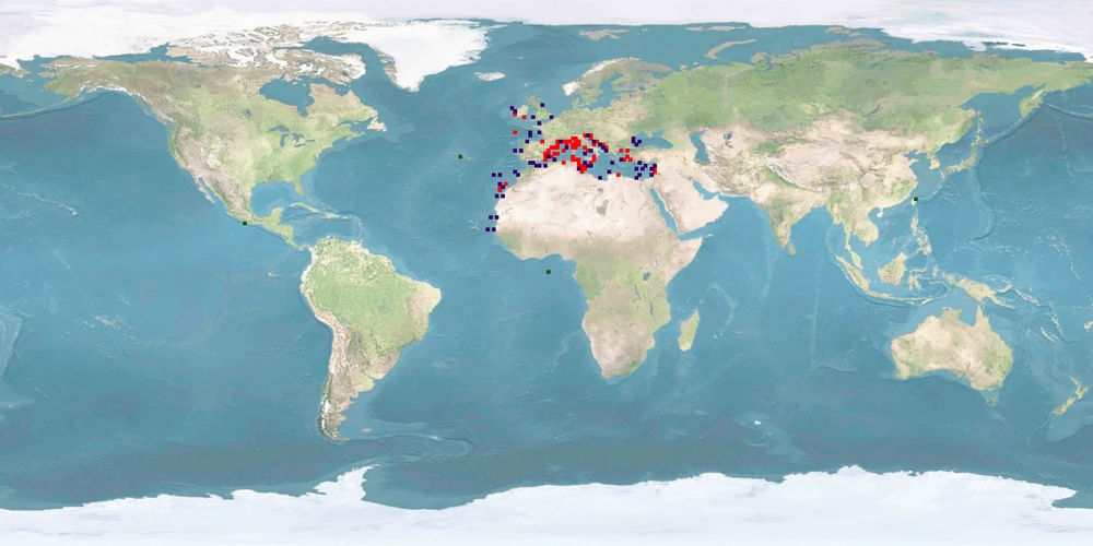 Distribution map: Dentex dentex (Common dentex)