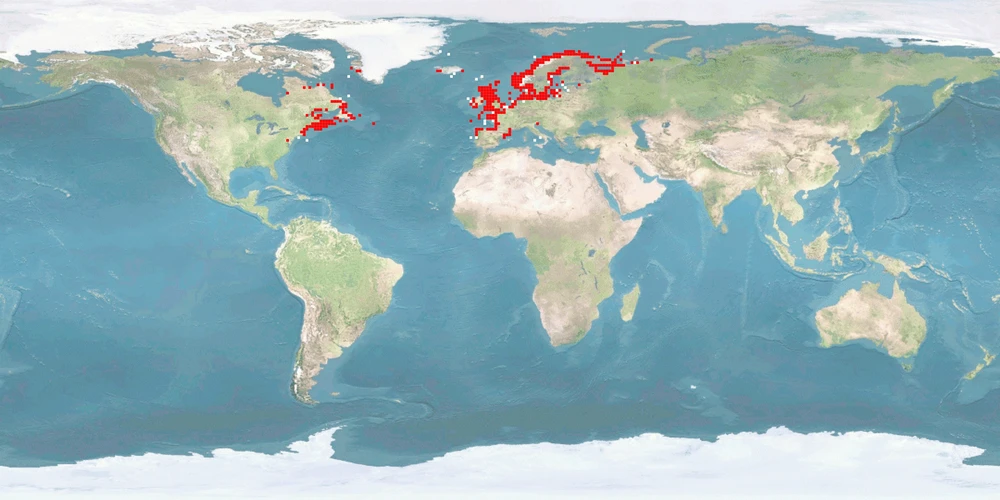 Distribution map: Salmo salar (Atlantic salmon)