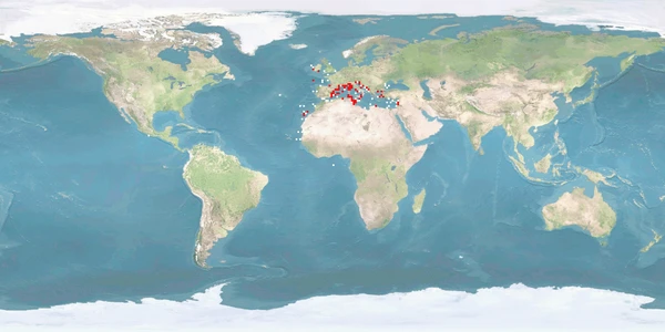 Distribution map: Dentex dentex (Common dentex)