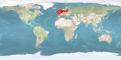 Distribution map: Scophthalmus maximus (Turbot)