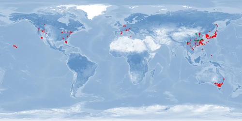 Distribution map: Misgurnus anguillicaudatus (Pond loach)