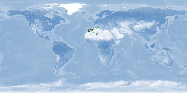 Distribution map: Luciobarbus callensis (Algerian barb)