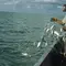 thumbnail-images