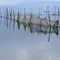 thumbnail-images