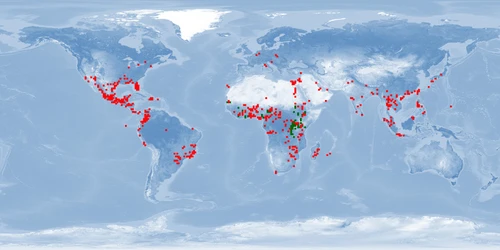 Distribution map: Oreochromis niloticus (Nile tilapia)