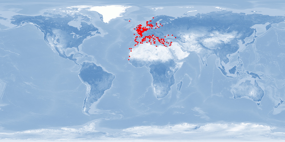 Distribution map: Dicentrachus labrax (European seabass)