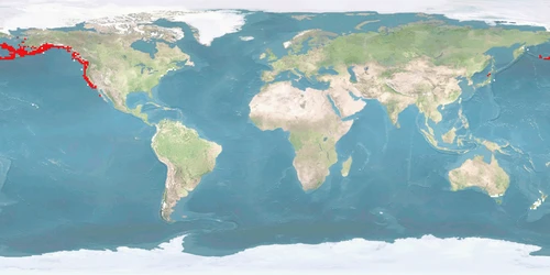 Distribution map: Oncorhynchus tshawytscha (Chinook salmon)