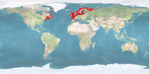 Distribution map: Salmo salar (Atlantic salmon)