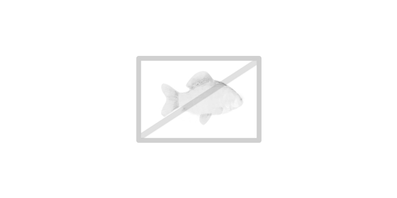 No image available